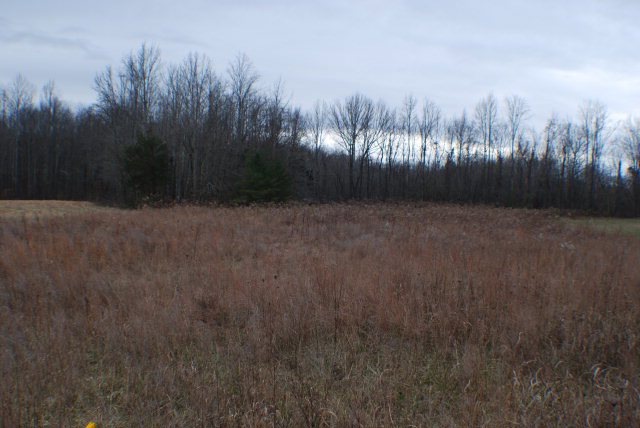 LOT 2 Null Rd, Cookeville, TN 38506 - photo 1