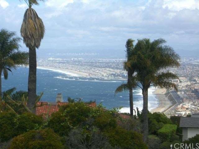 View from the Living room