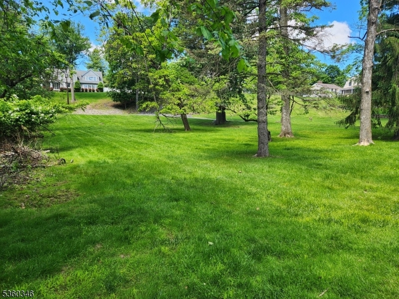 185 Wilmore Rd, Little Falls Township, NJ 07424 - photo 1