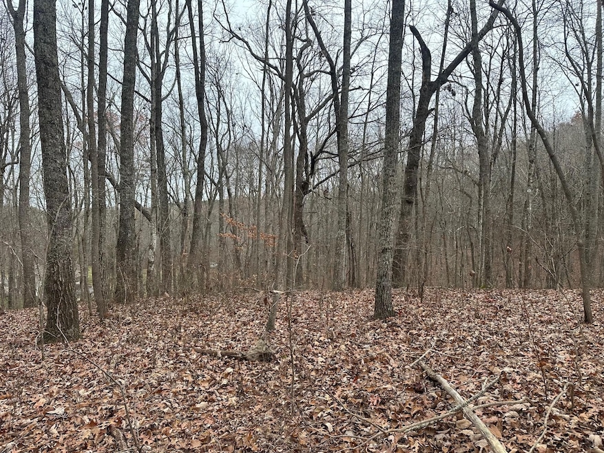 120.62 Browns Hollow Rd, Tracy City, TN 37387 - photo 1