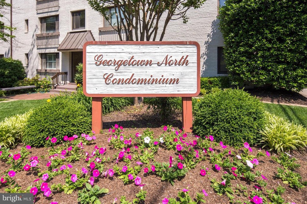 3817 Davis Place NW unit 1, Washington, DC 20007 - photo 1