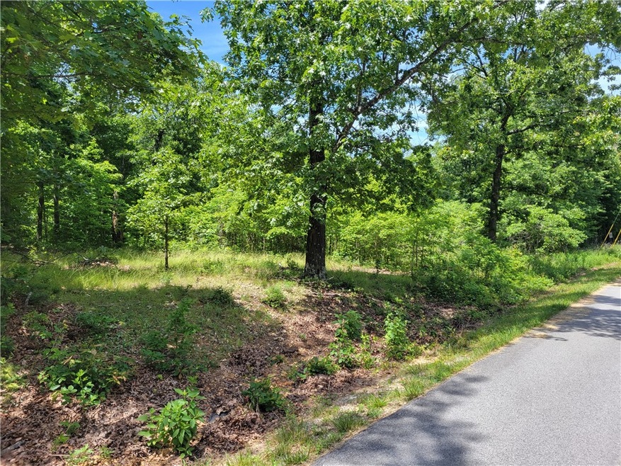 000 Chatburn Dr, Bella Vista, AR 72715 - photo 1