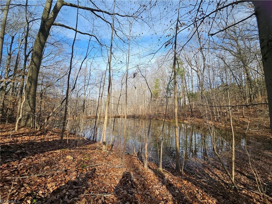 Pond