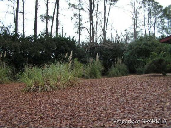 208 Wildcat Rd, Williamston, NC 27892 - photo 1