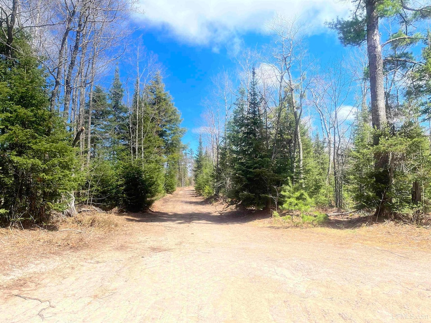 480 Acres Off Cr Aaa Rd, Michigamme, MI 49861 - photo 1