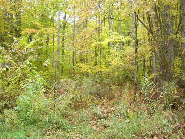 0 Clark Gates Rd unit M9131747, East Haddam, CT 06469 - photo 1