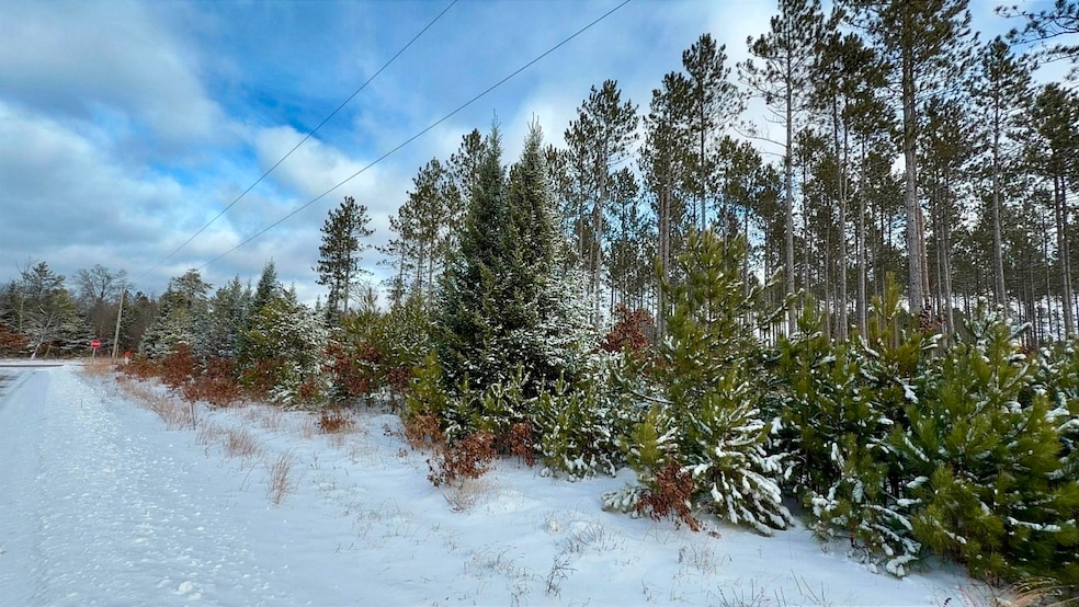 0 County X Rd unit 50318765, Crivitz, WI 54114 - photo 1