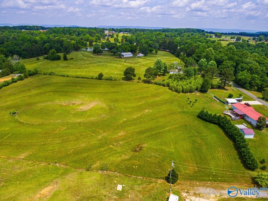 356 Choat Rd, Grant, AL 35747 - photo 1
