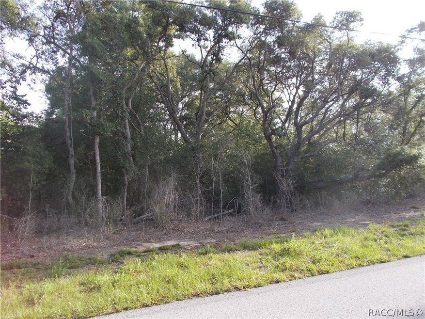 1059 E Bismark St, Hernando, FL 34442 - photo 1