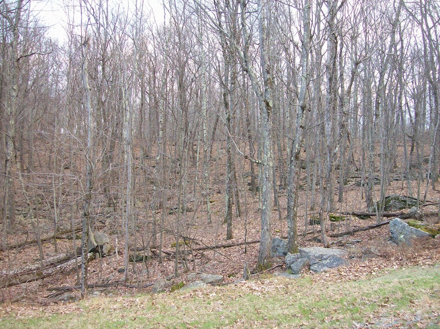 1222 Acacia Dr, Paupack Township, PA 18428 - photo 1