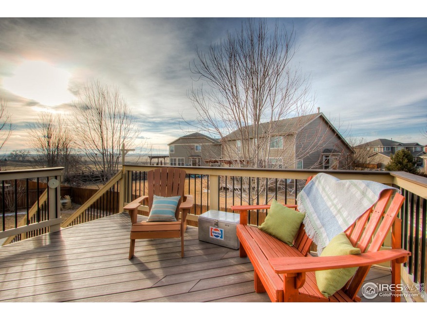 TREX Deck - low maintenance!