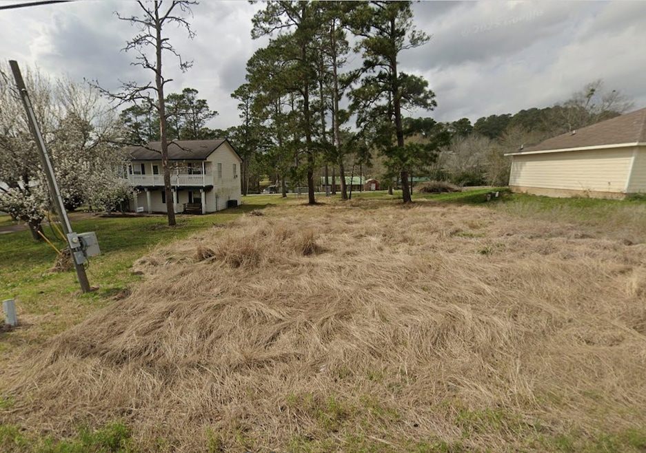 102 Pleasure Pass, Coldspring, TX 77331 - photo 1