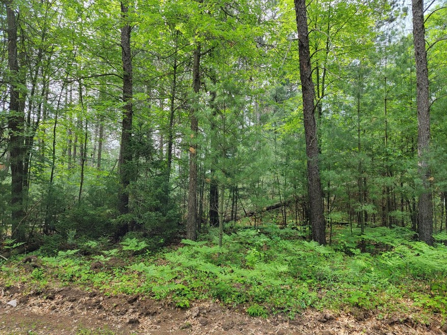 ON Charlene Ave, Tomahawk, WI 54487 - photo 1