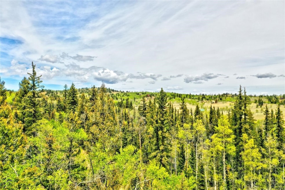 28 Old Squaw Rd, Como, CO 80432 - photo 1