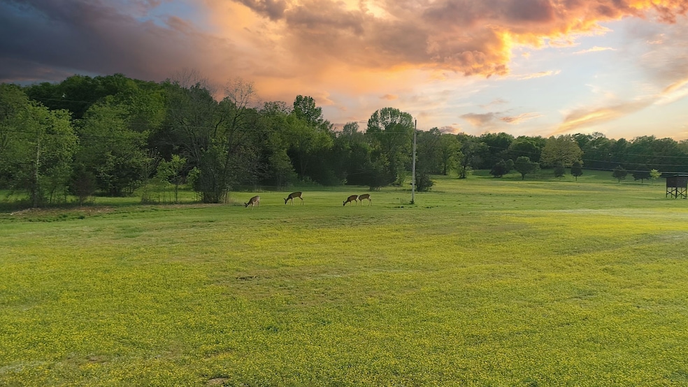 7 Corinth Rd, Mount Juliet, TN 37122 - photo 1