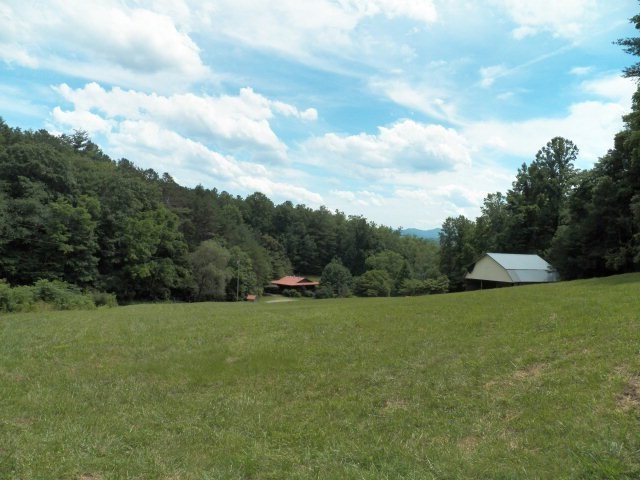 Main View