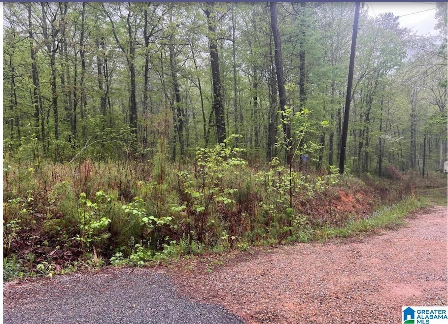 Sold $8,800 • Co-Listing Agent