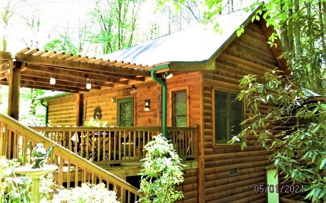 Main View