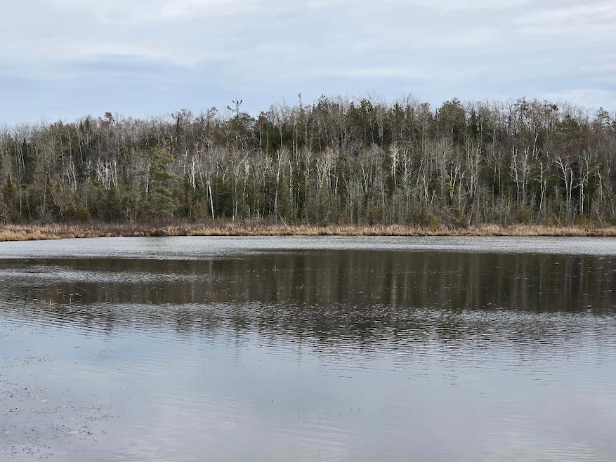 V/L 10ac Kelley Dr, Case Township, MI 49759 - photo 1