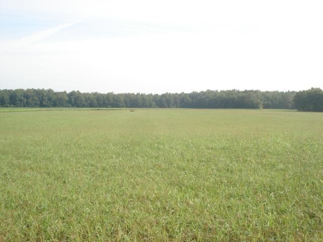 0 Ballard Rd, Manchester, TN 37355 - photo 1