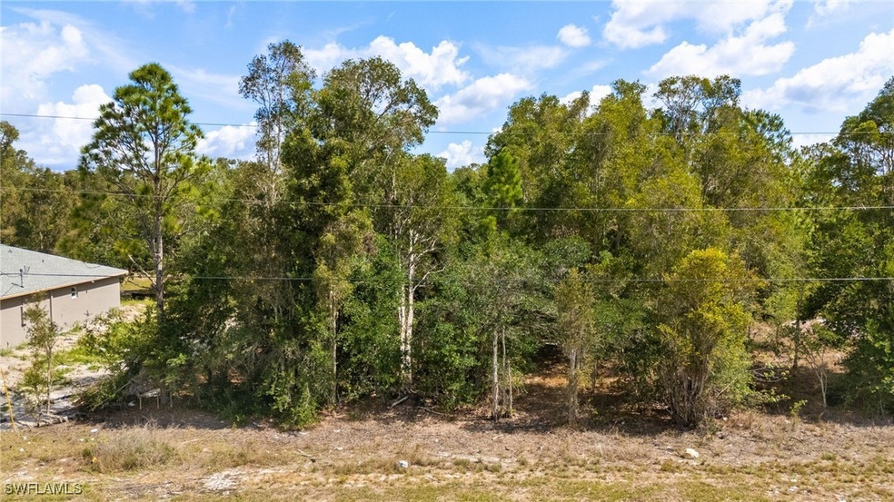 View of tree filled area