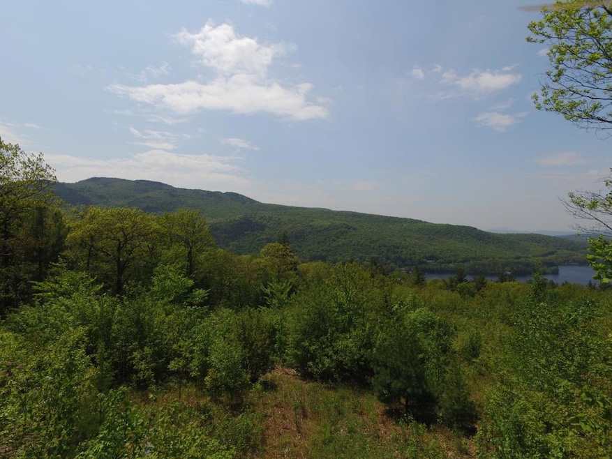 45 Blye Hill Landing, Newbury, NH 03255 - photo 1