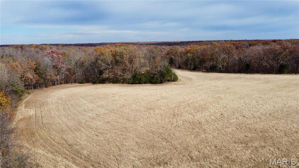 Tract 3 Polston Ln, Hickory Grove Township, MO 63357 - photo 1