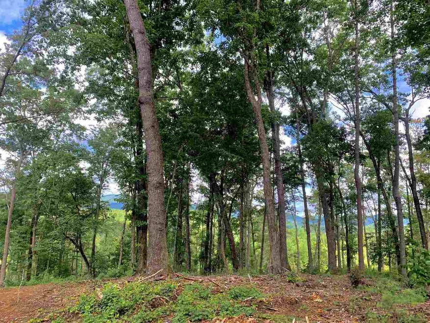 0 Kirkland Lake Rd unit 9014390, Ellijay, GA 30540 - photo 1