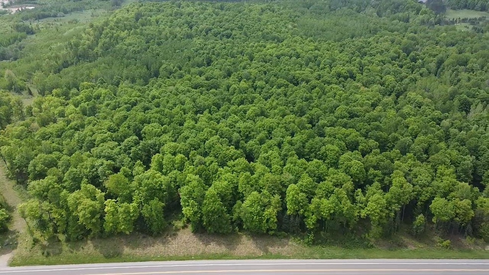 0 State Road 70 unit 50304991, Long Lake, WI 54542 - photo 1