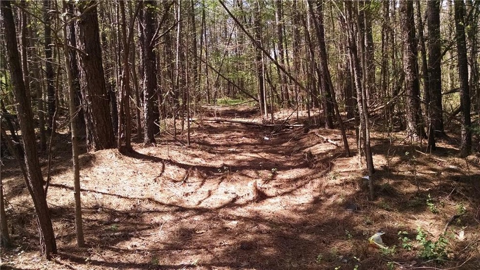 Pathway into property from Hwy. 138.