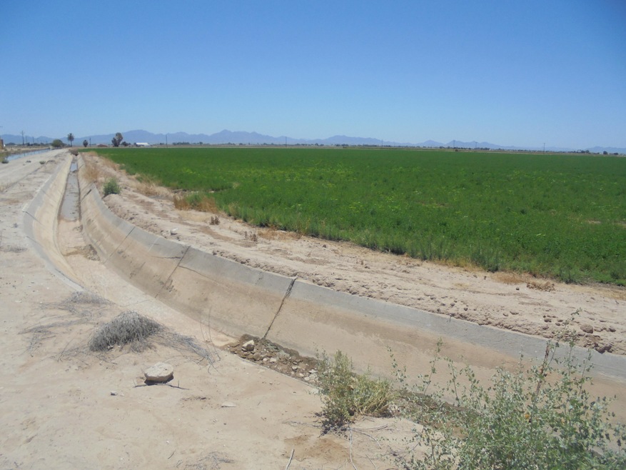 141 Water Toll Acres On 8th Ave, Blythe, CA 92225 - photo 1