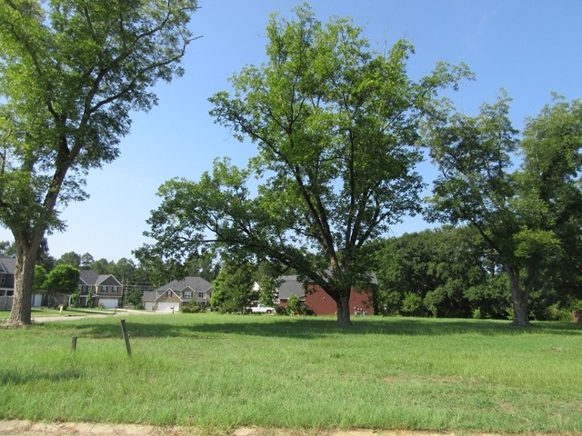 Primary Photo