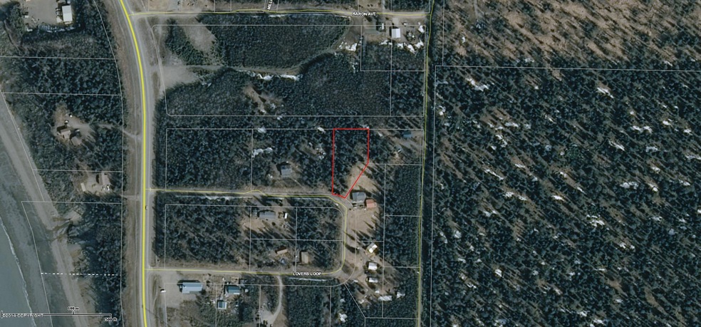 Satellite Image