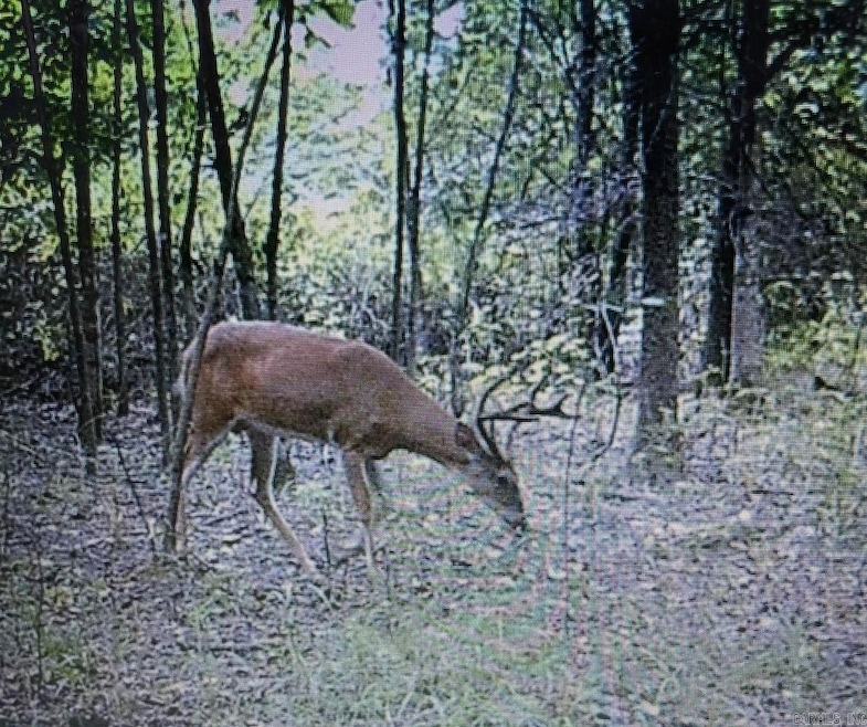 For Sale $39,000
