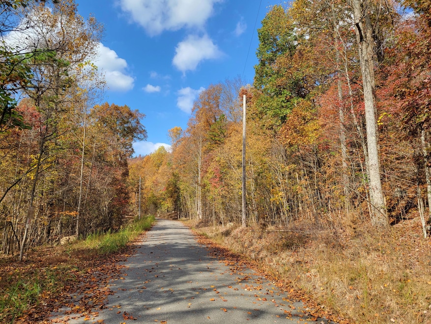 10 Raulstontown Rd, South Pittsburg, TN 37380 - photo 1