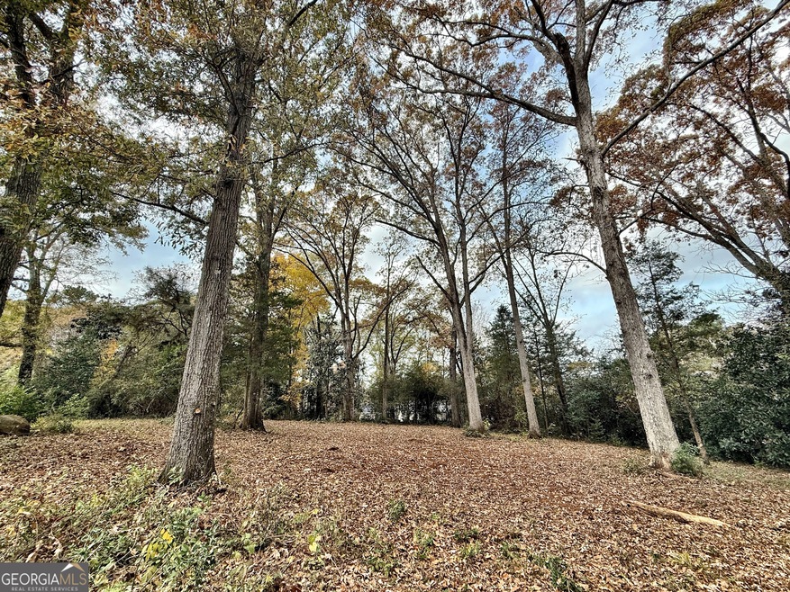 0 S Lee St unit 10646818, Forsyth, GA 31029 - photo 1