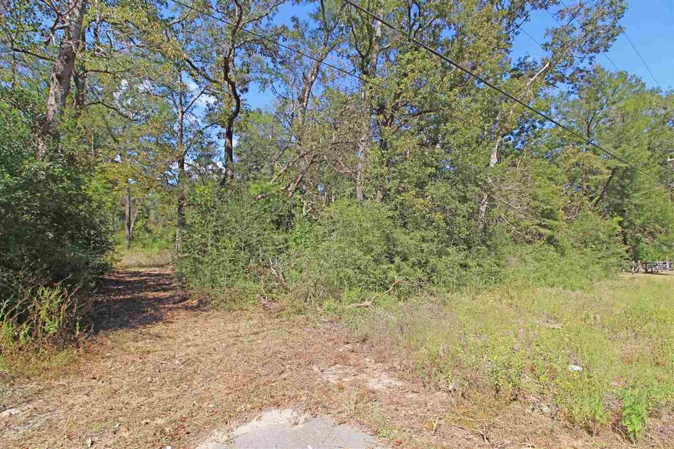 0 Shadeville Rd, Crawfordville, FL 32327 - photo 1