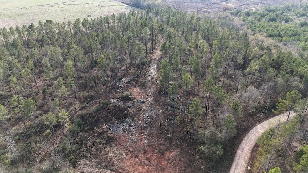 010 County Road 176, Piedmont, AL 36272 - photo 1