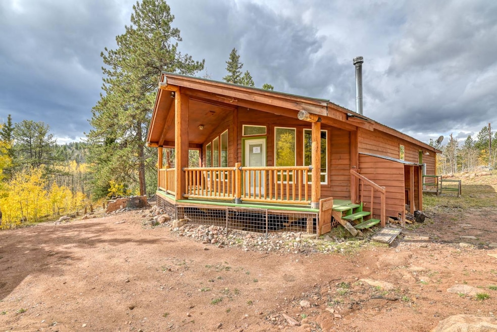 5413 County Rd, Florissant, CO 80816 - photo 1