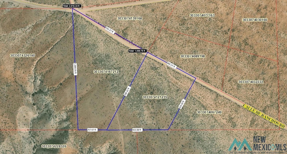 1148 Calle de Ranchos Rd, Truth Consq, NM 87901 - photo 1
