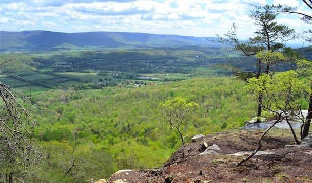 Bluff View, B6, view photo, b