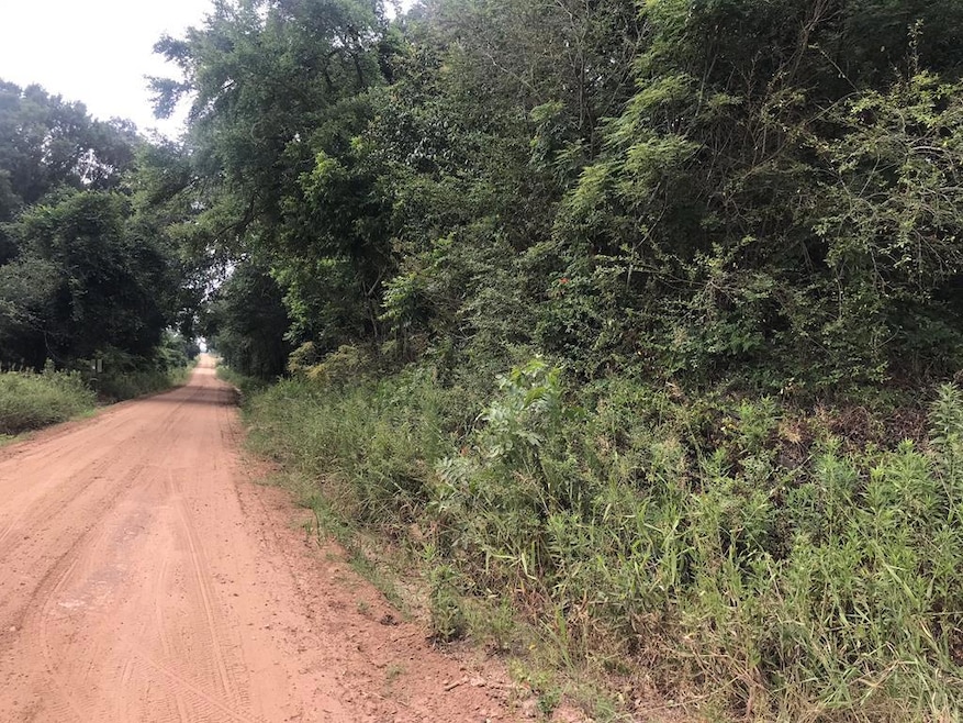 000 Brady Rd, Cordele, GA 31015 - photo 1