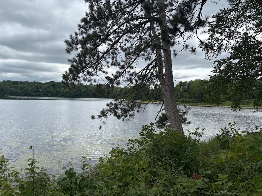 TBD Andrus Lake Trail NE, Crooked Lake Township, MN 56662 - photo 1