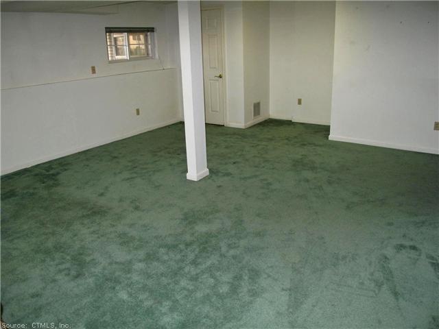 Den/Family/Great Room. The finished Lower Level is