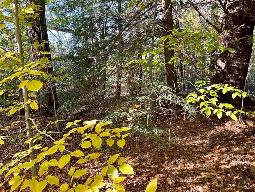 0 Emerald unit Map 16 Lot 169, Hillsborough, NH 03244 - photo 1