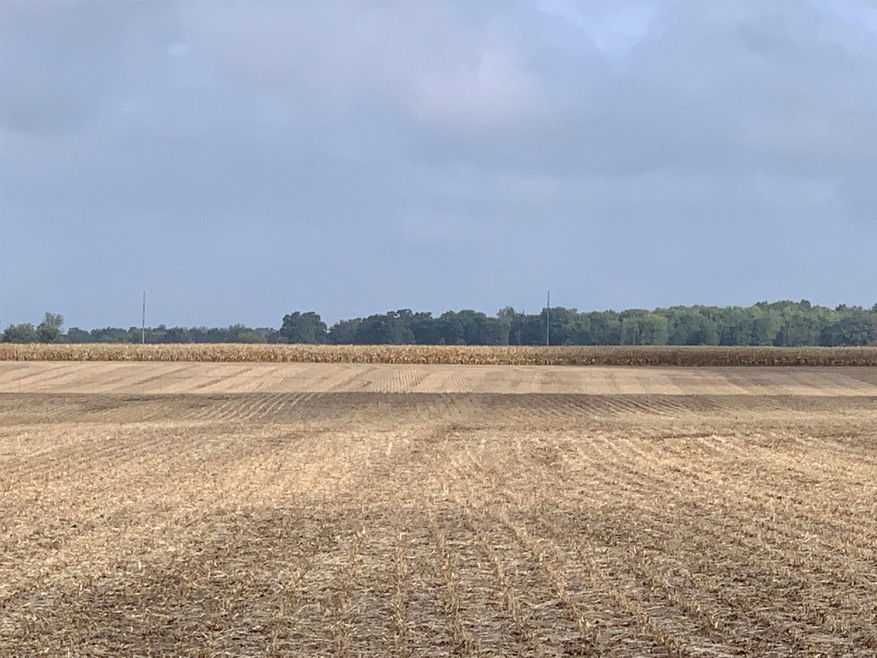 500 S Scott St, Bluffton, IN 46714 - photo 1