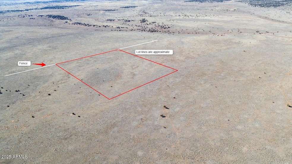 Lot Lines Aerial