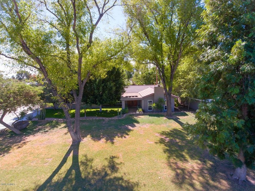 Front Yard