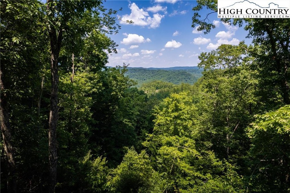 55 Reynolds Pkwy, Ferguson, NC 28624 - photo 1