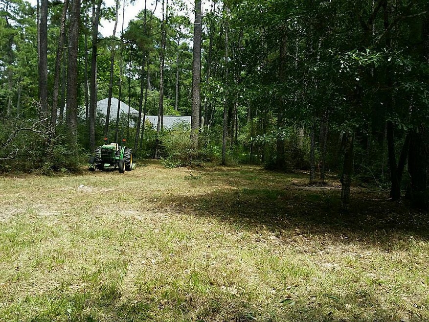 480 Pelican St, Magnolia, TX 77355 - photo 1